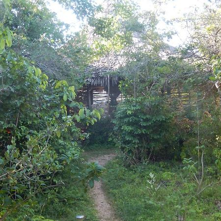 Wasini Island Bandas 外观 照片