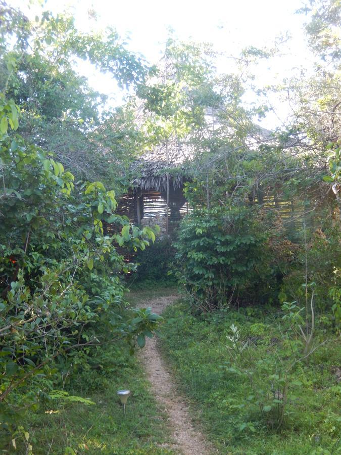Wasini Island Bandas 外观 照片