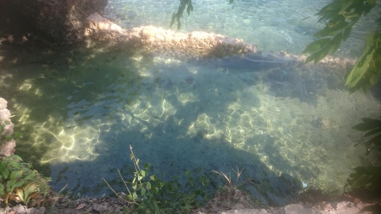 Wasini Island Bandas 外观 照片
